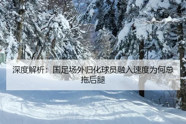 shen-du-jie-xi-guo-zu-chang-wai-gui-hua-qiu-yuan-rong-ru-su-du-wei-he-zong-tuo-hou-tui-3-502.jpg